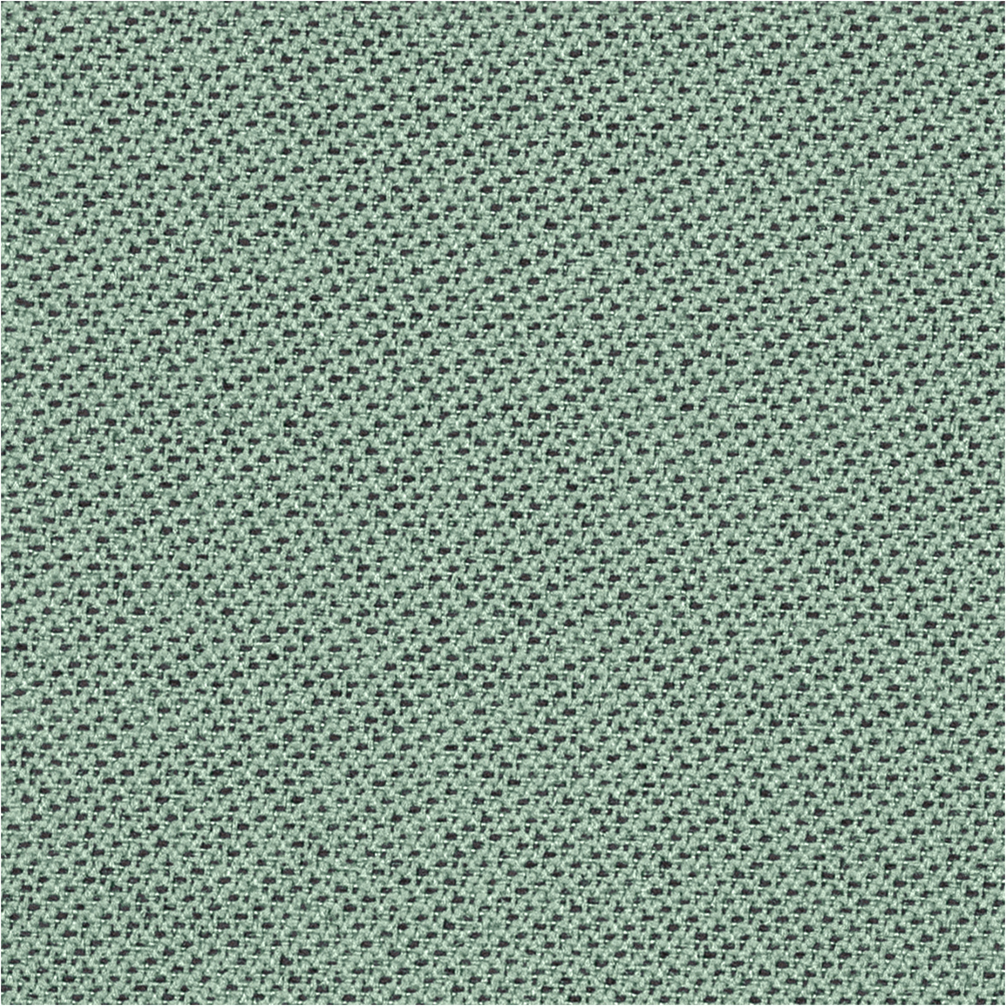 Tonal_67089.jpg