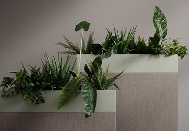 Inred med kontorsväxter – tips för mer grönska på kontoret